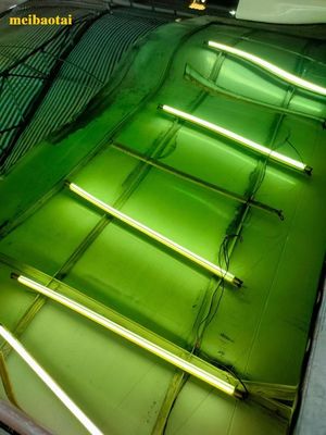 Buon prezzo Piastra di colore a specchio verde Pvd rivestimento Decorazione Piastra in acciaio inossidabile in linea