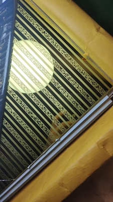 Foglio di acciaio inossidabile inciso per decorazioni e architettura con spessore personalizzato